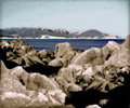 15  Chia von Insel 'Krake'.jpg